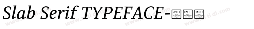 Slab Serif TYPEFACE字体转换 Slab Serif TYPEFACE字体转换